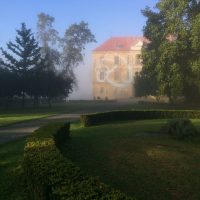 Quitten und Buchsbaum Gestaltung Schlosspark Hornegg